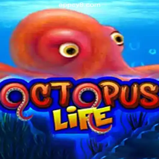 Exploring OctopusLife: The Latest Sensation on CY8.COM Platform - Oficial Slots Brasil #1